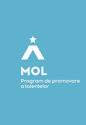 program de promovare a talentelor